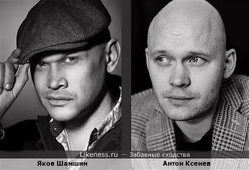Яков Шамшин - биография, фильмография, фотографии актёра