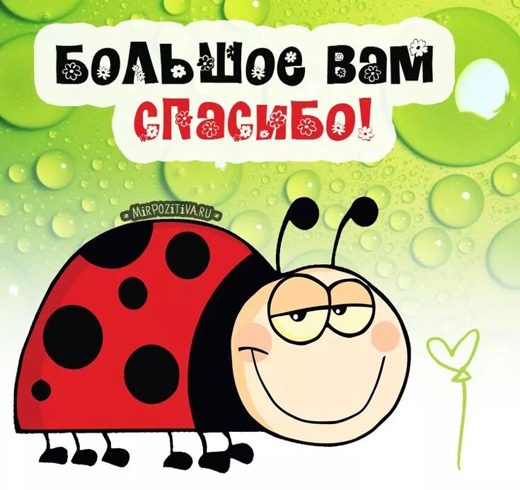 Благодарность юмор. Спасибо вам большое. Благодарность с юмором картинки. Спасибо юмор. Открытка спасибо с юмором.