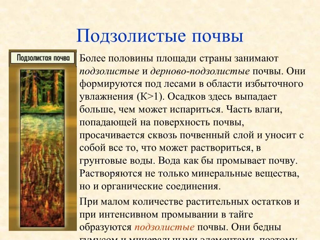 Как формируется почва