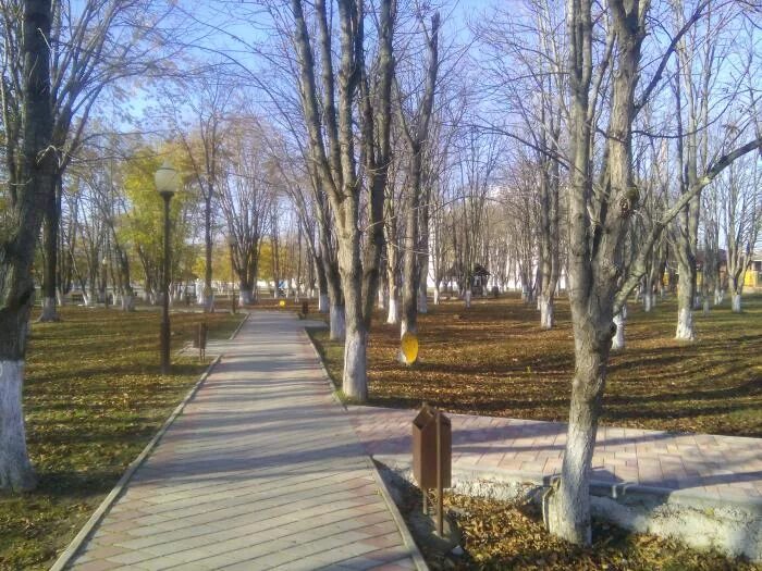 Горячий ключ городской парк культуры и отдыха. Горячий ключ парк развлечений. Курортный парк горячий ключ. Курортный парк в горячем ключе. Горячий ключ парк культуры.
