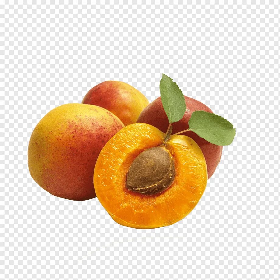 Абрикос png. Фрукты абрикос. Персик и абрикос. Абрикос без фона. Персик (фрукт).