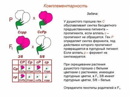 Задание на взаимоотношения