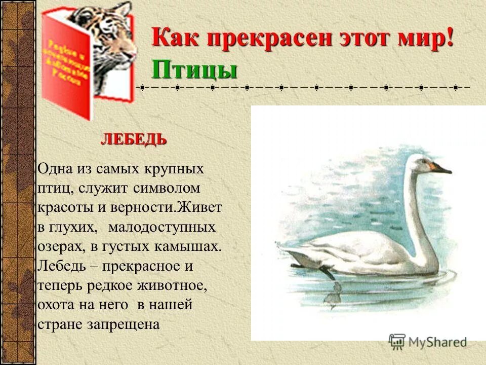 есть история про племя лишь весной наступит время. стихи рыленкова. приём звукописи в стихотворении. стихи про родственные слова. стихотворение на доброе слово не надо скупиться.