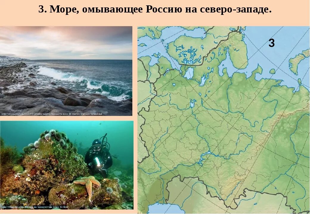 Какое море омывает с запада. Моря омывающие Россию. Моря России омывающие Россию. Моря Северо Запада России. Моря омывающие Россию Северо Запад.