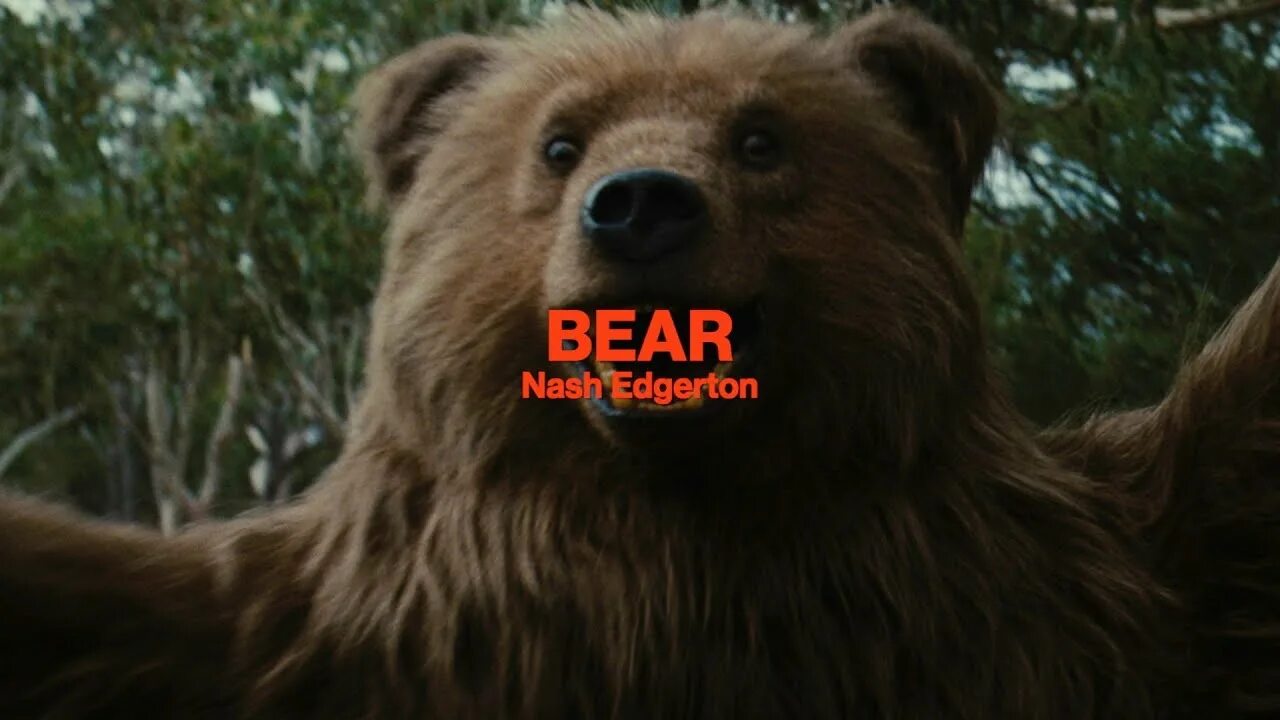 Страшилки про медведя. Бурый медведь кесагаке. Гризли grizzly (2013). Страшилки про медведя. Энтони хопкинс на грани 1997.