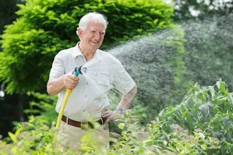 I was watering the plants