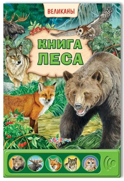 Книга в лесу. Книга леса. Детские книги про лес. Книги о лесе для детей.