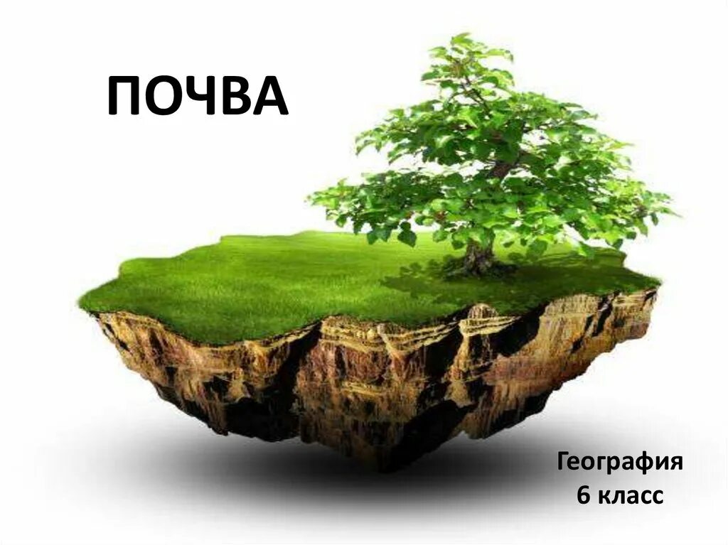 Почва. География почв. Почва география 6. Почвы 6 класс.