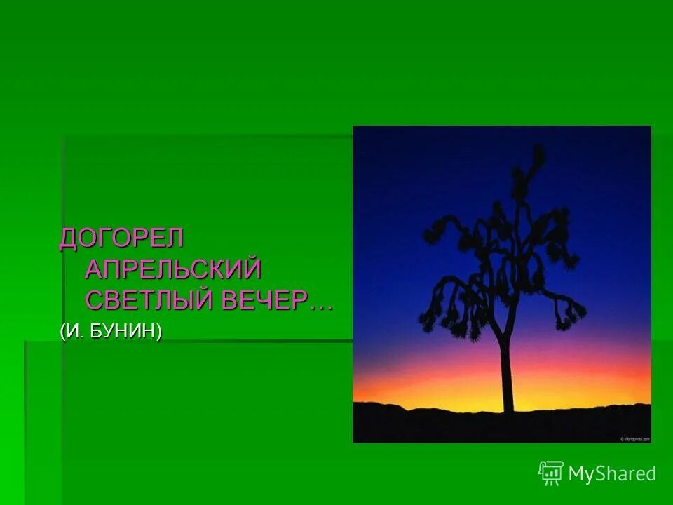 Стихотворение бунина догорел апрельский вечер