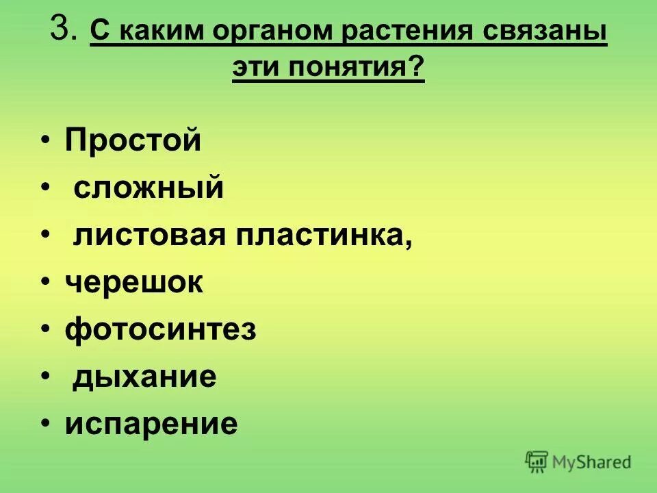 слова связанные с растениями. термины, связанные с растениями. слова связанные с растениями. цветы и растения в мифах и легендах. приметы весны.