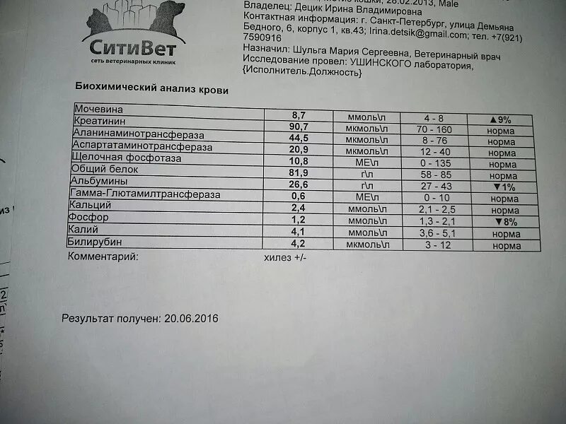 Норма креатинина у собак. У кота креатинин в моче 2300. Анализ мочи у котов норма. Норма анализа крови у кота. Нормы креатинина и мочевины у кошек.