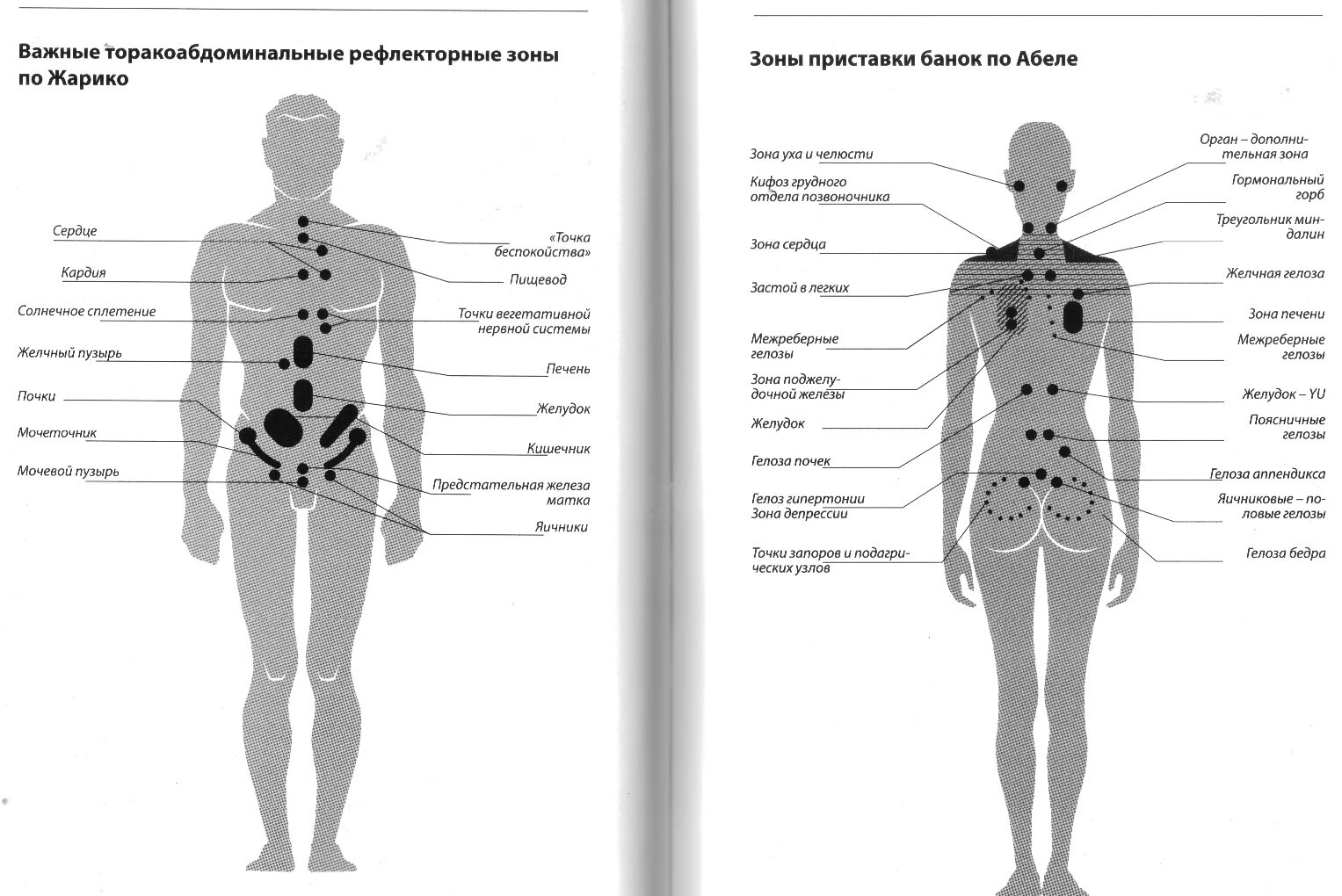 Тело говорит о болезни. Рефлекторные точки человека. Рефлекторные зоны Захарьина-Геда схема. Рефлекторные зоны на теле человека. Рефлекторные зоны на животе.