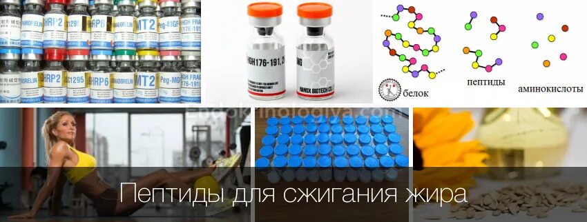 Пептиды роста. Пептиды для сжигания жира. таблетка пептид для жиросжигания. пептиды для жиросжигания для мужчин. пептиды для сжигания веса.