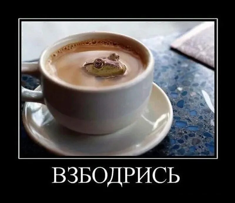 Утро добрым не бывает картинки прикольные. С добрым утром. демотиваторы с добрым утром прикольные. демотиваторы про кофе. с добрым утром демотиваторы смешные.