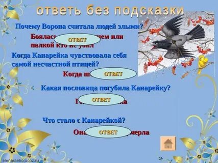 Птицы отвечают на вопрос