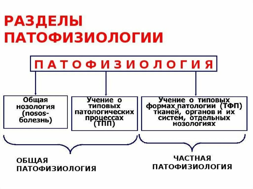 Патофизиология клиническая патофизиология. Понятие болезнь патофизиология. Структура патофизиологии. Понятие о клинической патофизиологии.