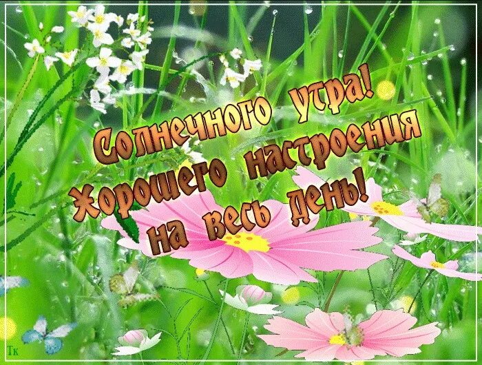 Доброе утро субботы апреля. Доброе летнее утро субботы. С добрым летним утром субботы. С добрым летним субботним утром. Доброготлетнено субботнено утра.