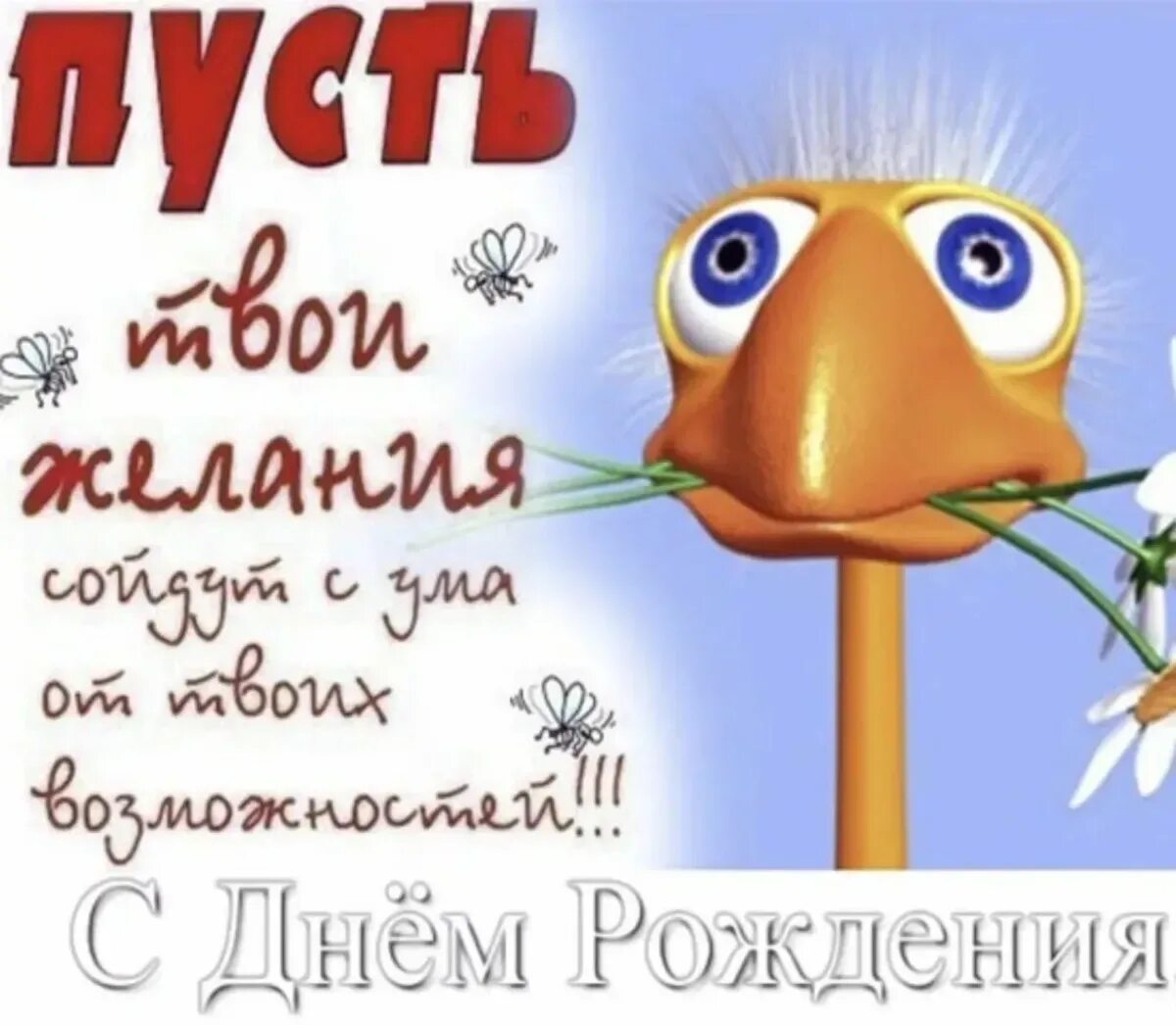 Необычное прикольное поздравление с днем рождения. Прикольные поздравления с днем рождения. прикольные открытки с днем рождения. с днём рождения весёлые картинки. смешные поздравления с днем рождения.