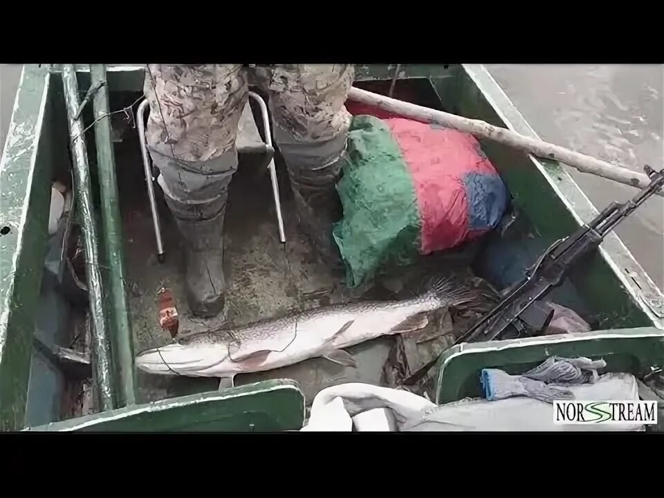 Как ловить рыбу в половодье