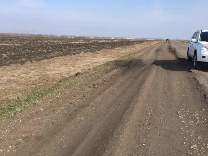 Село Новопокровское Балашовский район Саратовская область. Новопокровка Балашовский район. Село Родничок Балашовский район. Дорога на Новопокровское.