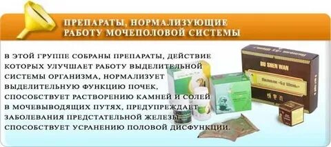 Чем лечить мочеполовую систему
