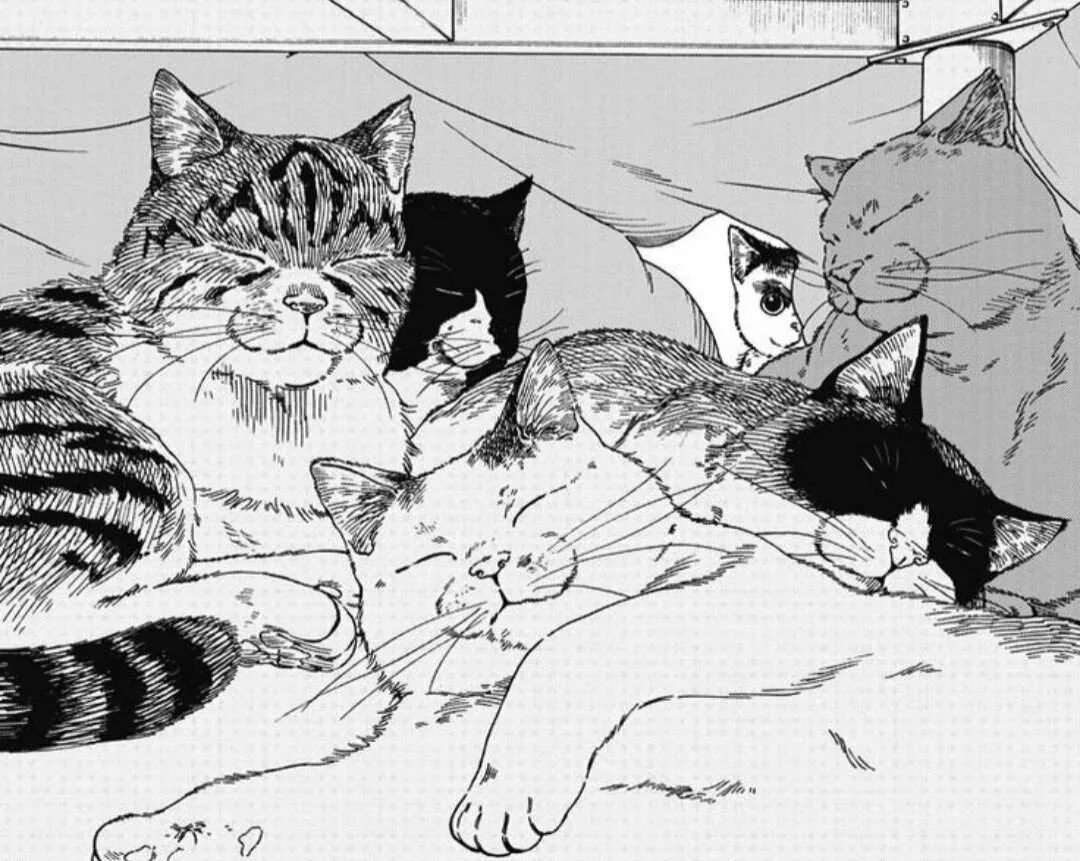 Котацу неко. Кошка манга. Yoru wa neko to issho. Вечера с кошкой манга. T.