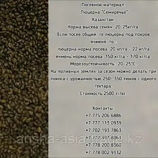 Люцерна семена на сотку