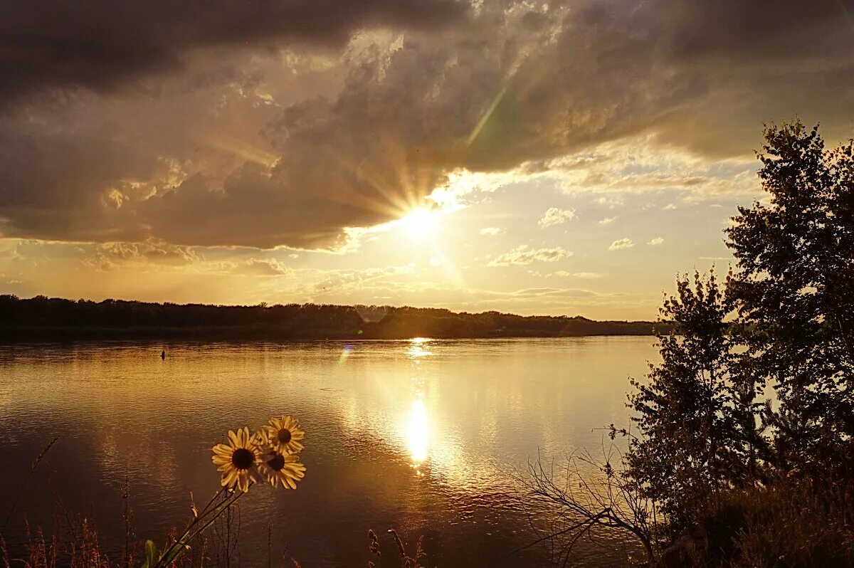 Знойное солнце. Два солнца. Теплое солнце. Как выглядит солнце. Есть горячее солнце.