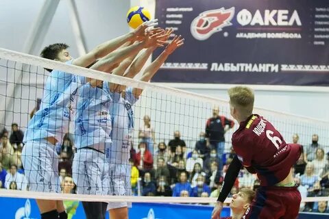 Олимп чемпион