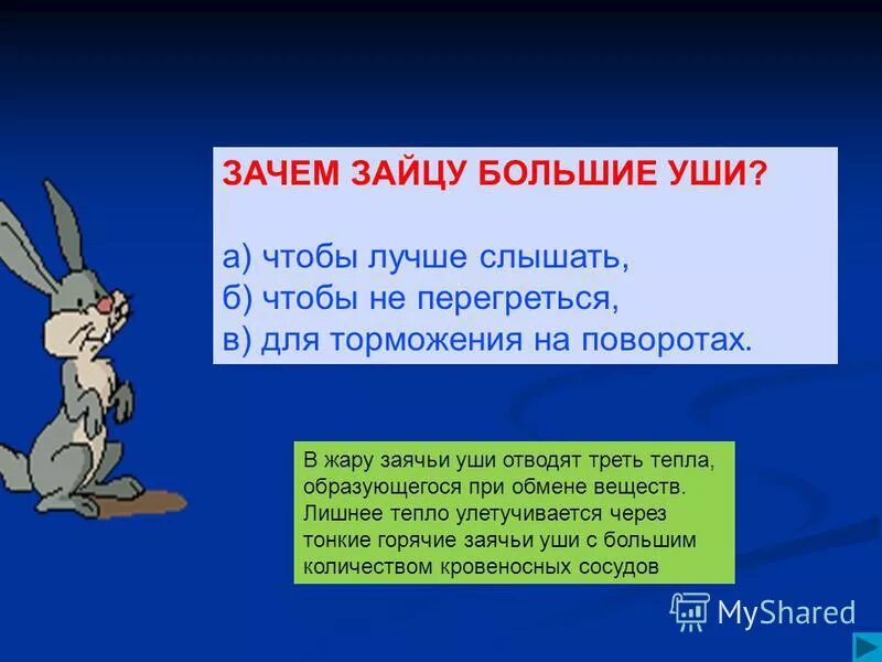 Этимология слова заяц. Игра на сегу тини тон. Заяц приставка. Подвижные игры зайка. Заяц женского рода.