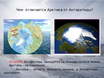 арктика и антарктика в чем разница