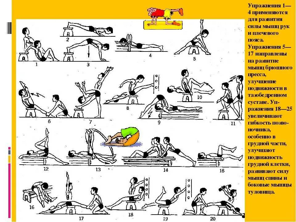 Выполнение упражнений на силу. Комплекс упражнений для развития силы мышц. Упражнение для завитая силы. Упражнения для развития мышц туловища. Упражнения для развития силы.