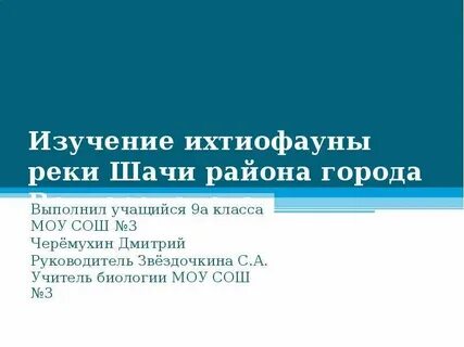 Какие общественные пороки в ревизоре сочинение