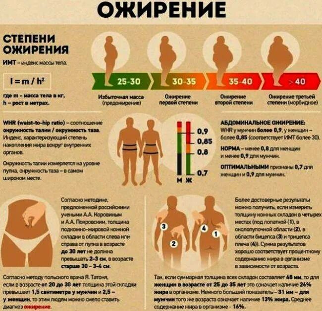 Начал набирать вес что делать. Набор веса ожирение. Причины повышения веса. Причины набора веса. Причины набора веса у женщин.