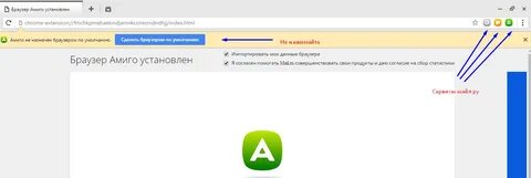 Амиго русский