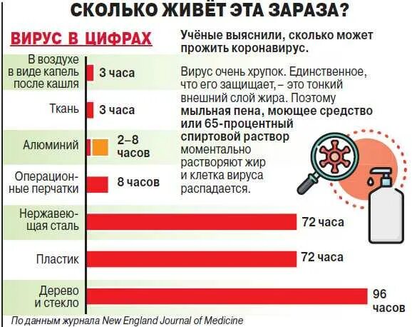 Сколько времени больной. Сколько коронавирус живет на поверхностях. Сколько живёт коронавирус. Сколько вирусы живут на предметах. Сколько живут вирусы.