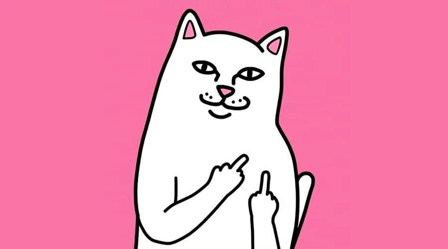 Показывает класс. Кот с факом. Кот показывает фак. Котик показывает палец. Лорд нермал.