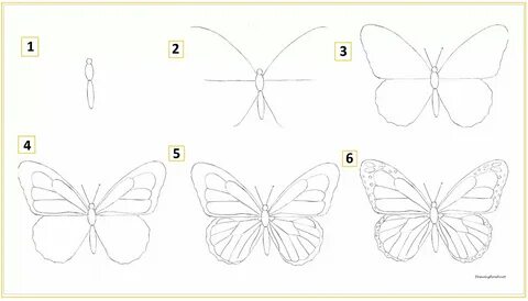 Как нарисовать бабочку 1 класс