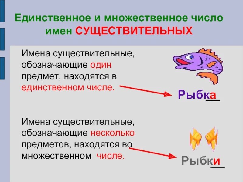 Рыбку какое число. Число имен существительных. Единственное и множественное число. Имена существительные единственного и множественного числа. Единственное и множественное число имен существительных.