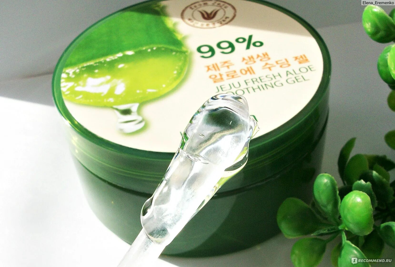 Jeju aloe. Gold aloe fresh gel 300ml (the saem). The saem jeju fresh aloe soothing gel 300 мл. Увлажняющий гель royal skin jeju aloe vera 95% soothing gel. The faceshopx earpearp jeju aloe % jeju aloe fresh soothing gel 300 ml / 101 fi.