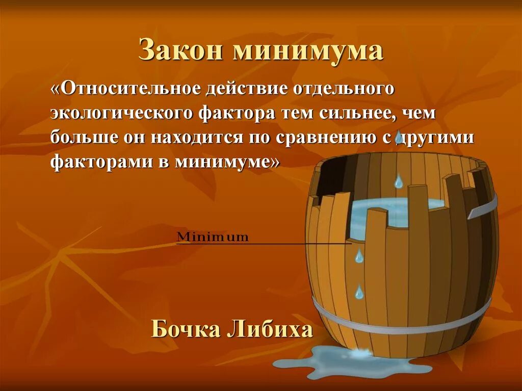 Закон минимума в экологии. Бочка Либиха и лимитирующие факторы. Ю Либих закон минимума. Лимитирующий бочка Либиха. Закон минимума бочка Либиха.