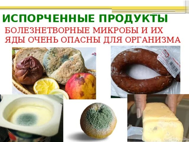 Проект испорченные продукты питания