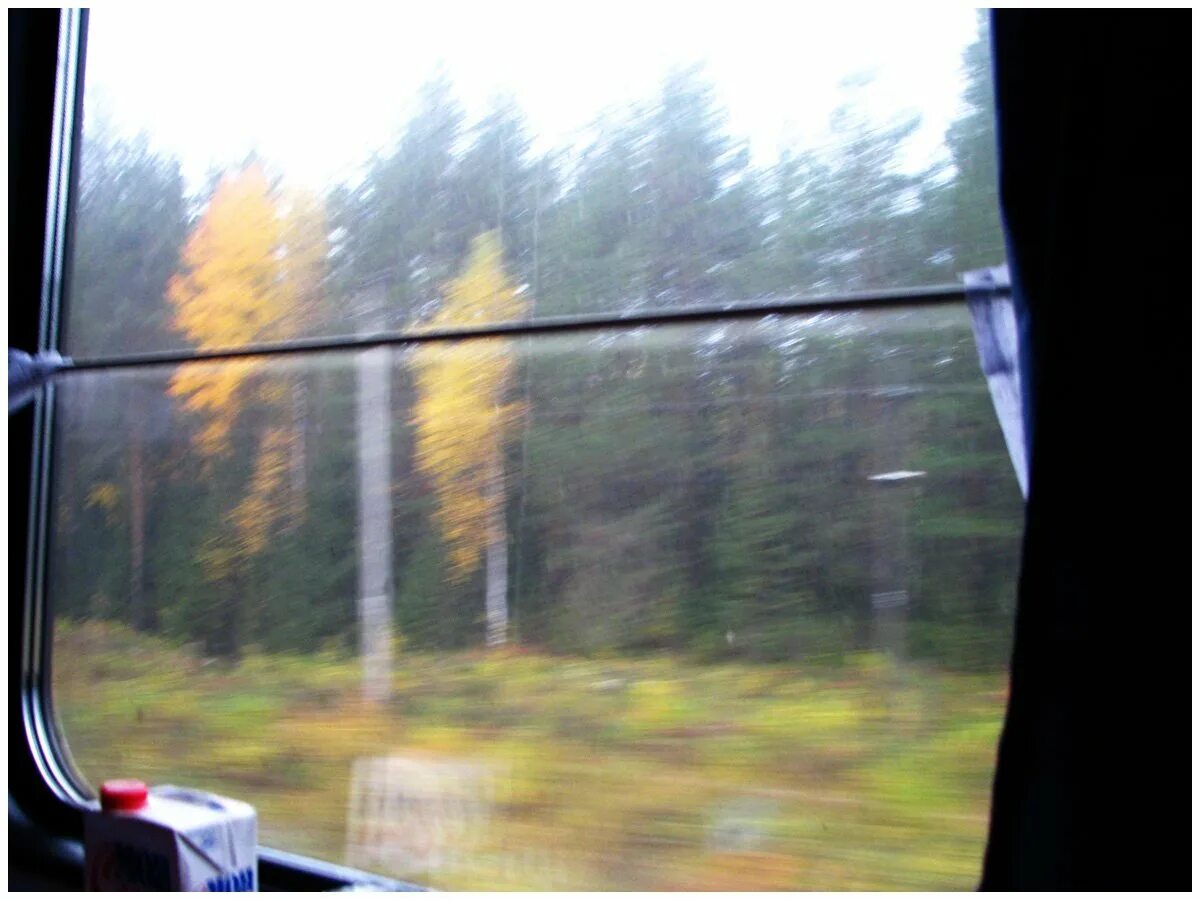 Москвича увидевшего липецк из окна поезда доставили. Вид из окна автобуса. осень из окна автобуса. осень из окна поезда. вид из окна поезда летом.