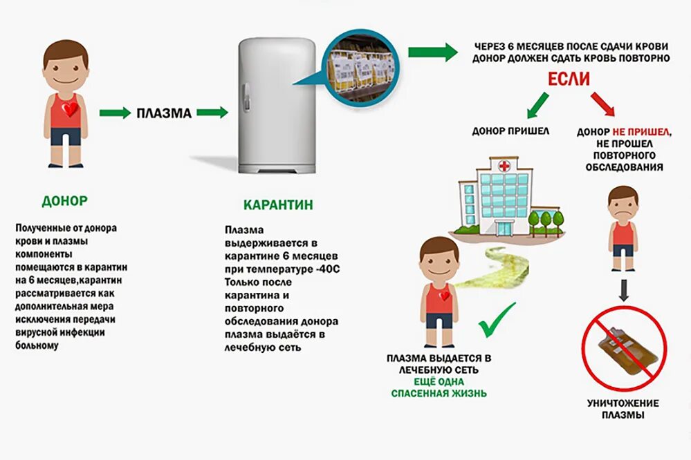 Прививки донорам. Через какое время после сдачи крови можно сдавать плазму. После сдачи крови когда можно сдавать плазму крови?. Через сколько можно сдавать плазму после сдачи крови на донорство. Как часто можно сдавать плазму.