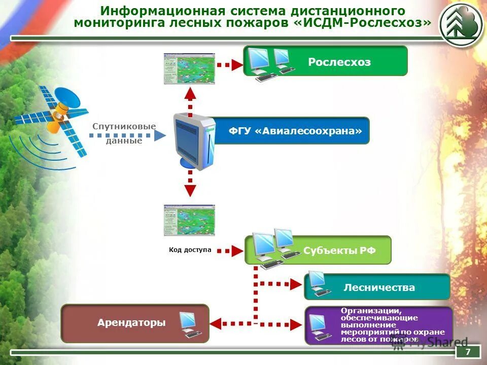 Цифровая платформа лесного хозяйства реферат