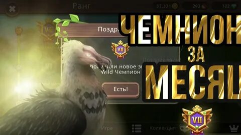Вилд чемпион