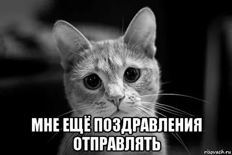 Поздравь отправь
