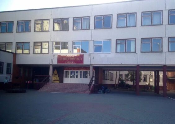 Гимназия 38 дзержинск. 38 гимназия минска. Гимназия 38 минск. Директор 38 гимназии дзержинск. Гимназия 38 минск.