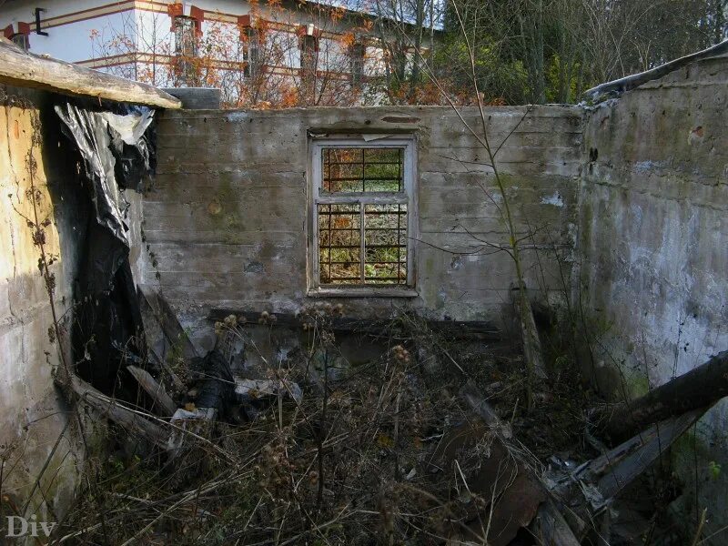 гатчинская психиатрическая больница. кащенко никольское. кащенко психиатрическая больница гатчина. кащенко психиатрическая больница гатчина. кащенко психиатрическая больница никольское.