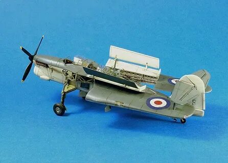 Special hobby